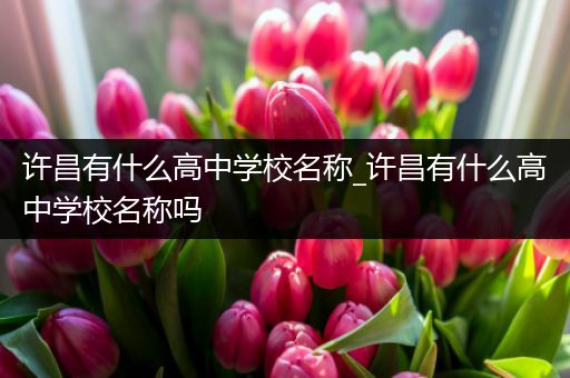 许昌有什么高中学校名称_许昌有什么高中学校名称吗