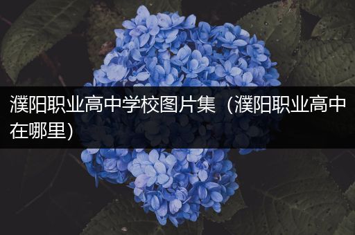 濮阳职业高中学校图片集（濮阳职业高中在哪里）