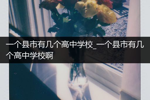 一个县市有几个高中学校_一个县市有几个高中学校啊