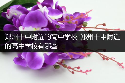 郑州十中附近的高中学校-郑州十中附近的高中学校有哪些