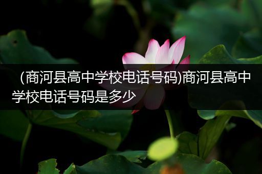 （商河县高中学校电话号码)商河县高中学校电话号码是多少