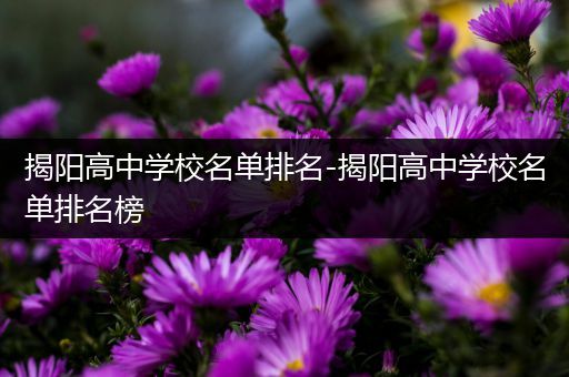揭阳高中学校名单排名-揭阳高中学校名单排名榜