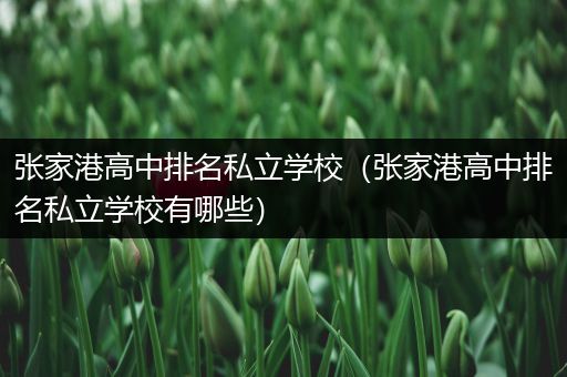 张家港高中排名私立学校（张家港高中排名私立学校有哪些）