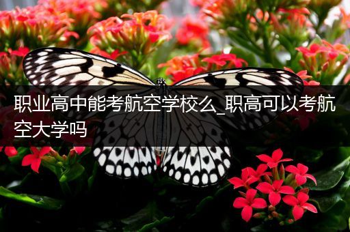 职业高中能考航空学校么_职高可以考航空大学吗
