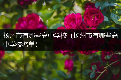 扬州市有哪些高中学校（扬州市有哪些高中学校名单）