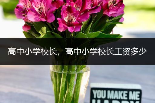 高中小学校长，高中小学校长工资多少