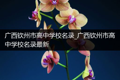 广西钦州市高中学校名录_广西钦州市高中学校名录最新