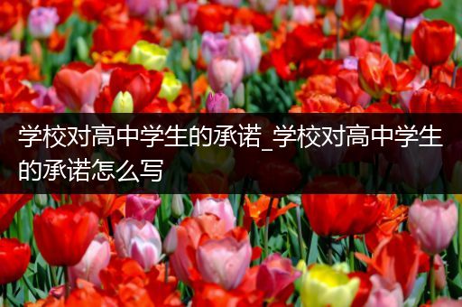 学校对高中学生的承诺_学校对高中学生的承诺怎么写
