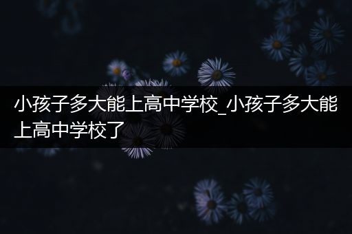 小孩子多大能上高中学校_小孩子多大能上高中学校了