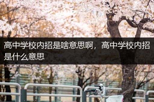 高中学校内招是啥意思啊，高中学校内招是什么意思
