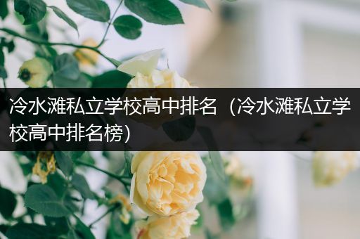 冷水滩私立学校高中排名（冷水滩私立学校高中排名榜）