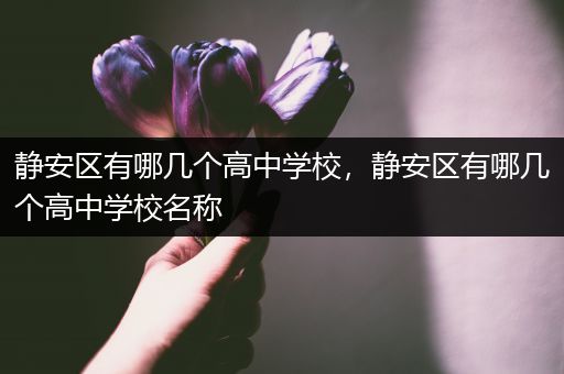 静安区有哪几个高中学校，静安区有哪几个高中学校名称