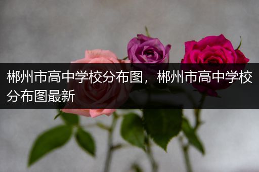 郴州市高中学校分布图，郴州市高中学校分布图最新