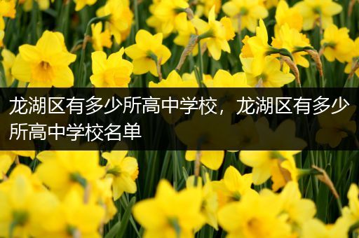 龙湖区有多少所高中学校，龙湖区有多少所高中学校名单