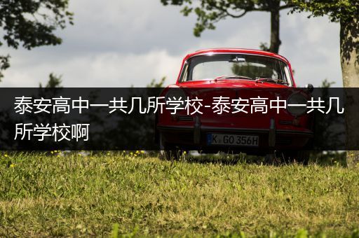 泰安高中一共几所学校-泰安高中一共几所学校啊