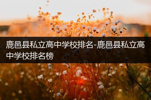 鹿邑县私立高中学校排名-鹿邑县私立高中学校排名榜