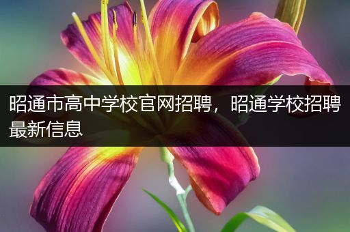 昭通市高中学校官网招聘，昭通学校招聘最新信息