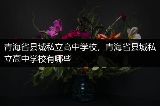 青海省县城私立高中学校，青海省县城私立高中学校有哪些