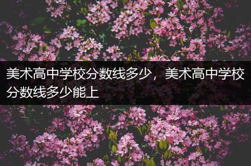 美术高中学校分数线多少，美术高中学校分数线多少能上