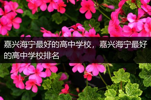 嘉兴海宁最好的高中学校，嘉兴海宁最好的高中学校排名