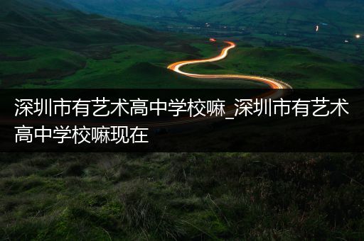 深圳市有艺术高中学校嘛_深圳市有艺术高中学校嘛现在