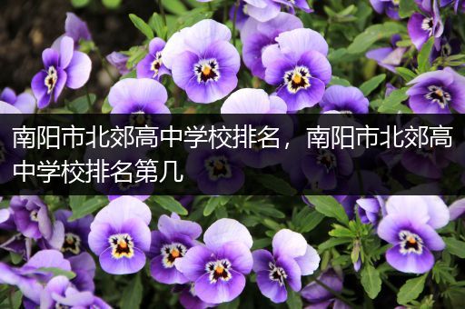 南阳市北郊高中学校排名，南阳市北郊高中学校排名第几