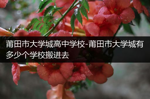 莆田市大学城高中学校-莆田市大学城有多少个学校搬进去