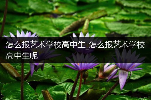 怎么报艺术学校高中生_怎么报艺术学校高中生呢
