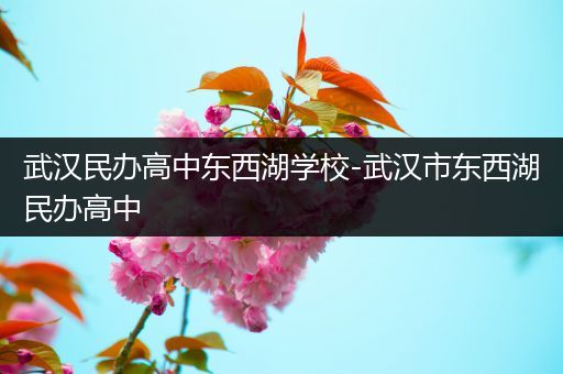 武汉民办高中东西湖学校-武汉市东西湖民办高中