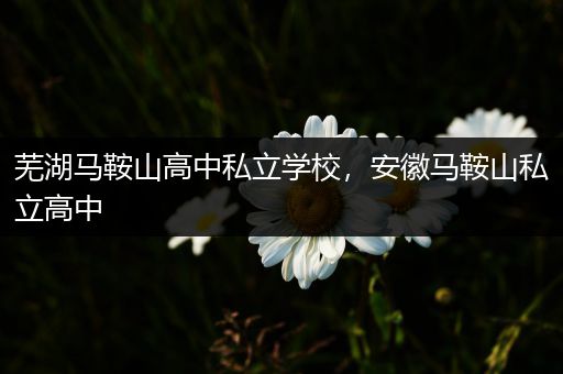 芜湖马鞍山高中私立学校，安徽马鞍山私立高中