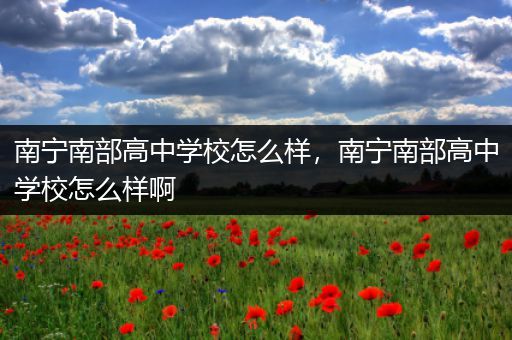 南宁南部高中学校怎么样，南宁南部高中学校怎么样啊