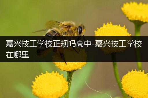 嘉兴技工学校正规吗高中-嘉兴技工学校在哪里