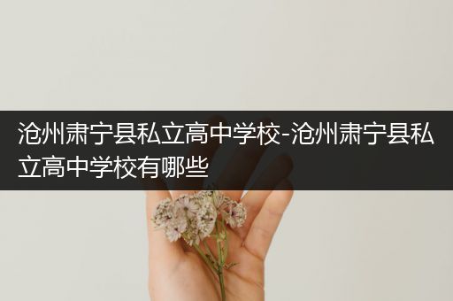 沧州肃宁县私立高中学校-沧州肃宁县私立高中学校有哪些