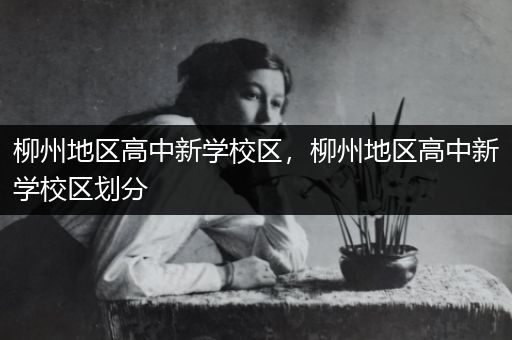 柳州地区高中新学校区，柳州地区高中新学校区划分