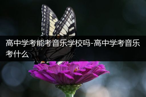高中学考能考音乐学校吗-高中学考音乐考什么