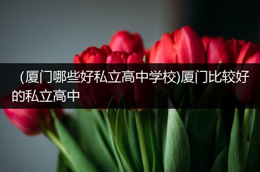 （厦门哪些好私立高中学校)厦门比较好的私立高中