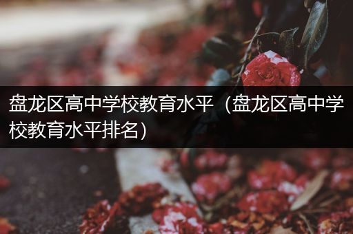 盘龙区高中学校教育水平（盘龙区高中学校教育水平排名）