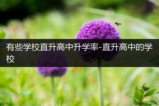 有些学校直升高中升学率-直升高中的学校