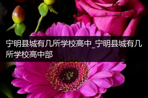 宁明县城有几所学校高中_宁明县城有几所学校高中部