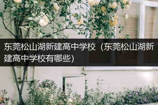 东莞松山湖新建高中学校（东莞松山湖新建高中学校有哪些）