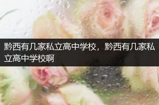 黔西有几家私立高中学校，黔西有几家私立高中学校啊
