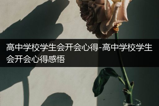 高中学校学生会开会心得-高中学校学生会开会心得感悟