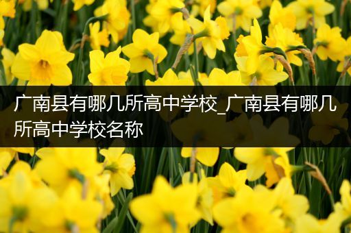 广南县有哪几所高中学校_广南县有哪几所高中学校名称