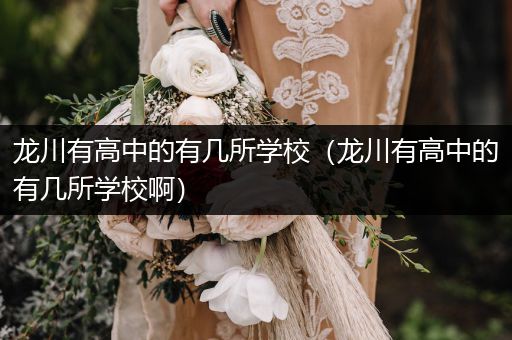 龙川有高中的有几所学校（龙川有高中的有几所学校啊）