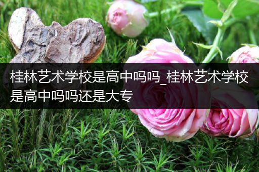 桂林艺术学校是高中吗吗_桂林艺术学校是高中吗吗还是大专