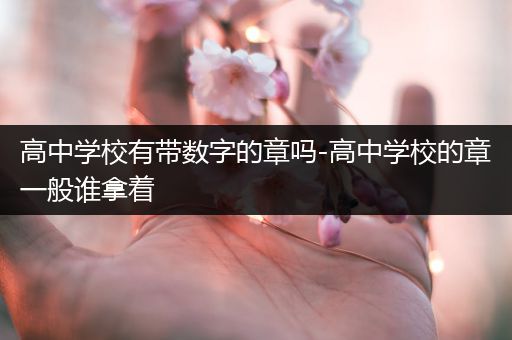 高中学校有带数字的章吗-高中学校的章一般谁拿着