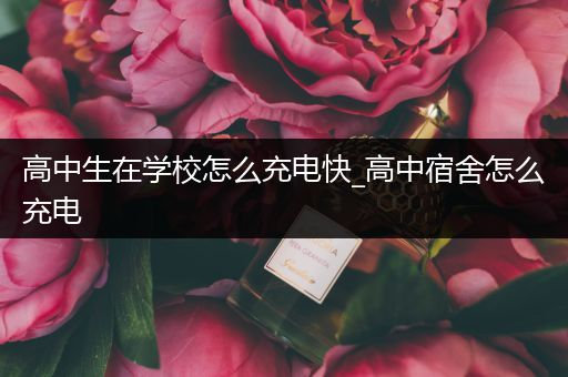 高中生在学校怎么充电快_高中宿舍怎么充电