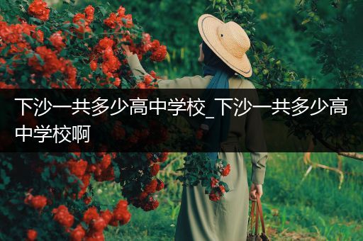 下沙一共多少高中学校_下沙一共多少高中学校啊