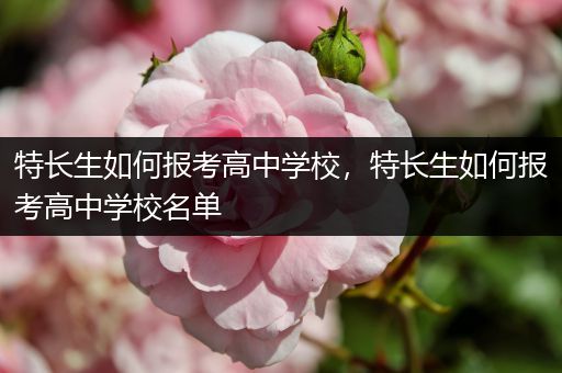 特长生如何报考高中学校，特长生如何报考高中学校名单