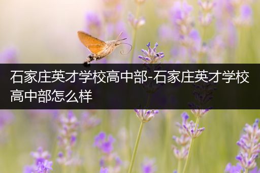 石家庄英才学校高中部-石家庄英才学校高中部怎么样